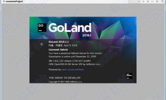 goland 2018.2.3破解版-jetbrains goland2018.2.3中文破解版下载 含注册码汉化包
